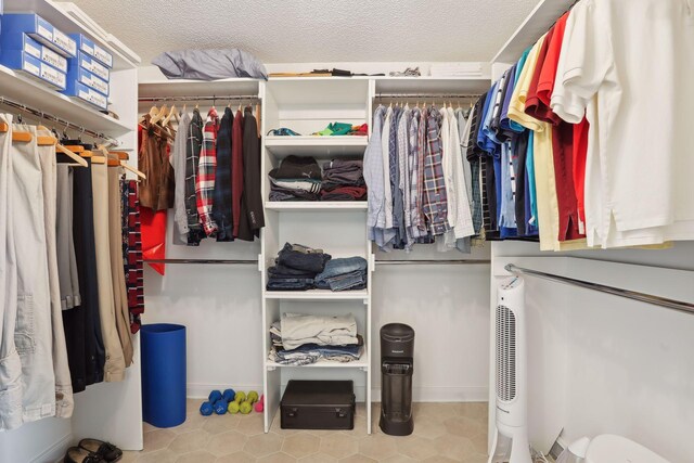 view of spacious closet