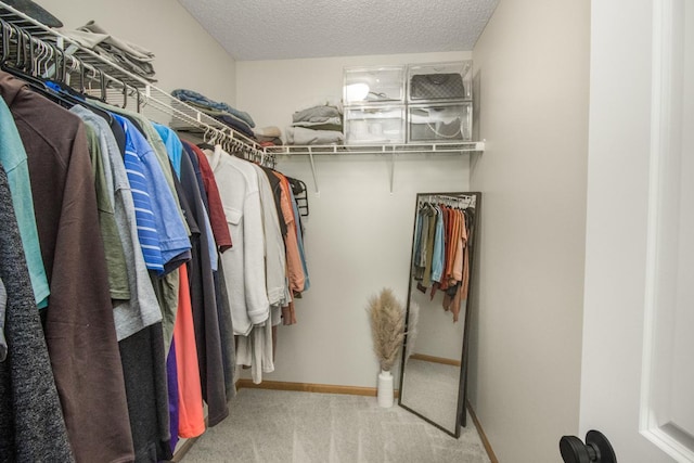 walk in closet with light colored carpet