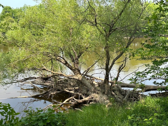 view of landscape with a water view