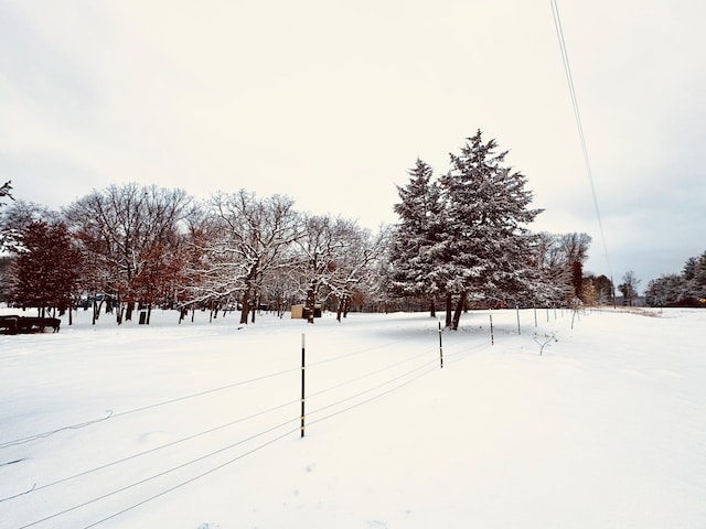 view of yard layered in snow