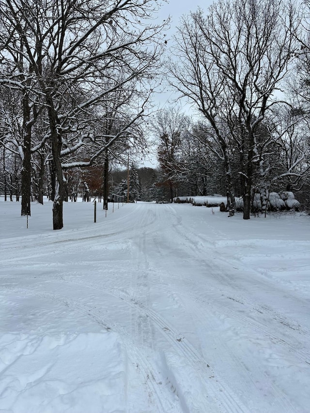 view of yard covered in snow