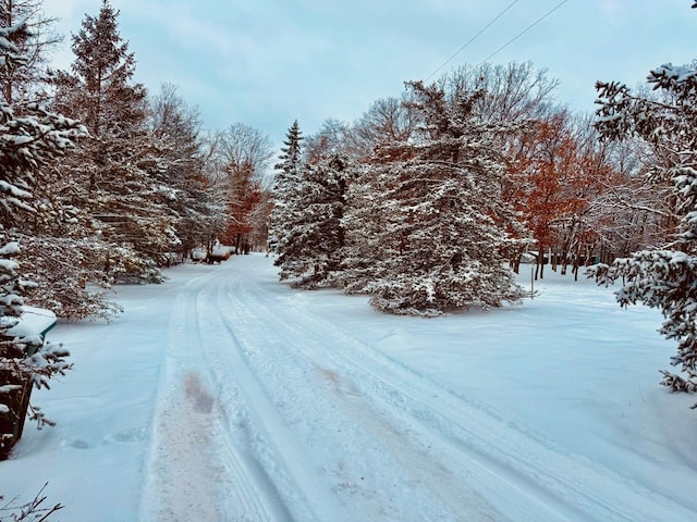 view of yard covered in snow