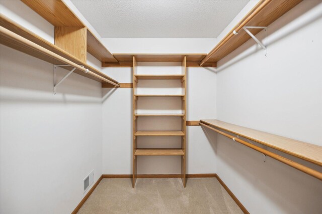 spacious closet featuring light colored carpet