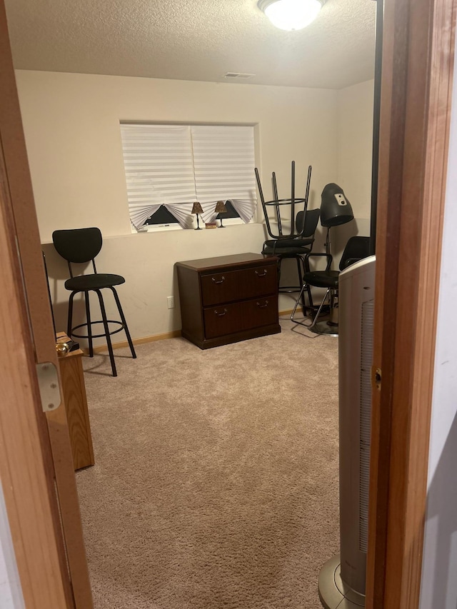 interior space with light colored carpet and a textured ceiling