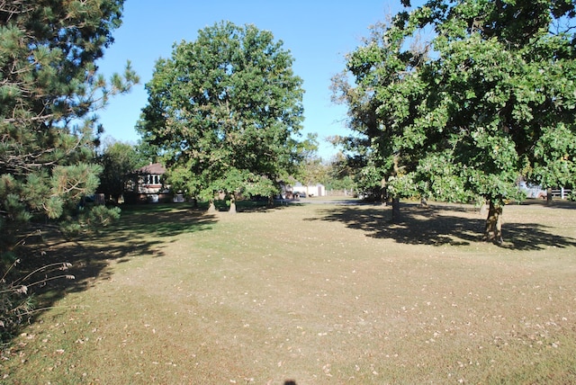 12303 71st Ave SW, Motley, MN 56466 - view of grassy yard