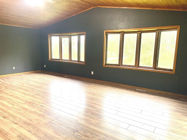 12303 71st Ave SW, Motley, MN 56466 - empty room featuring lofted ceiling and wood finished floors
