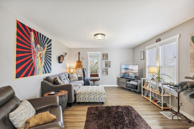 living room with light hardwood / wood-style floors