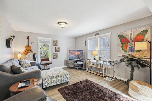 living room with light hardwood / wood-style floors