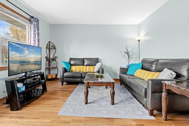 living room featuring hardwood / wood-style floors