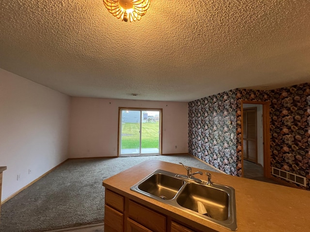 kitchen with carpet flooring, a textured ceiling, and sink