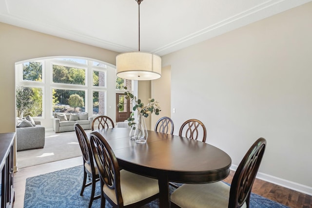 dining area featuring a wealth of natural light, baseboards, and wood finished floors