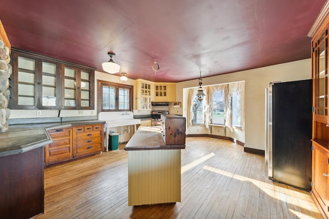 kitchen with a center island, light wood-type flooring, decorative light fixtures, and appliances with stainless steel finishes