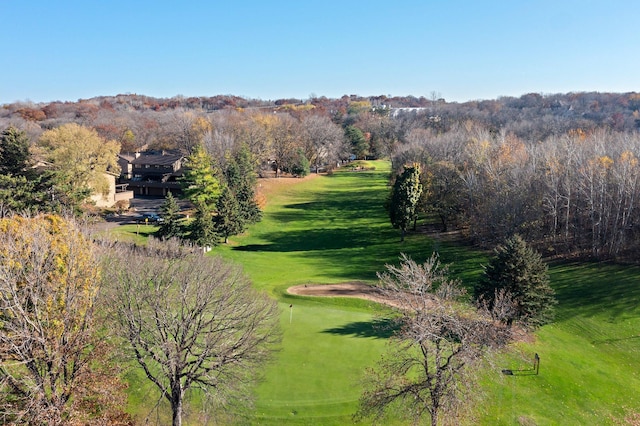 view of community with a lawn