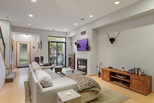 living room featuring light hardwood / wood-style flooring