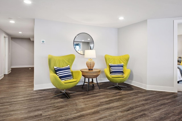 living area featuring dark wood-type flooring