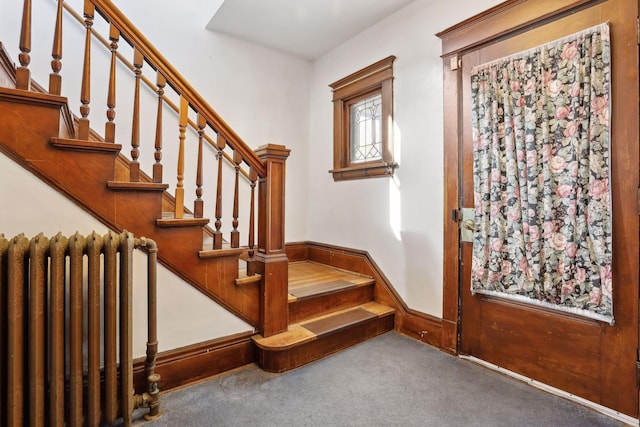 staircase with radiator and carpet floors