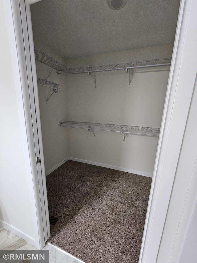 spacious closet featuring light colored carpet