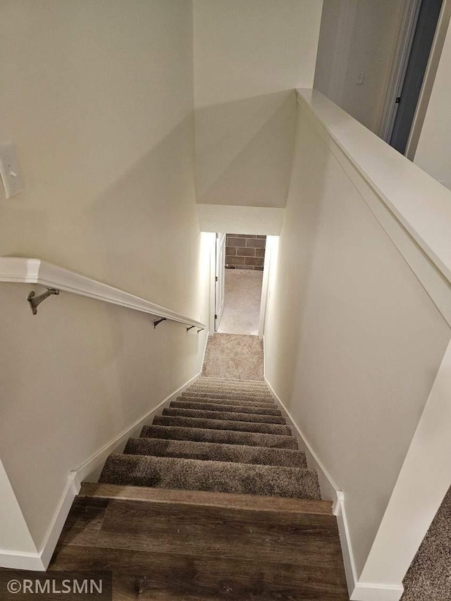 stairs featuring carpet flooring