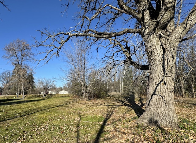 TBD302XX 480th St, Palisade, MN 56469 - photo 6
