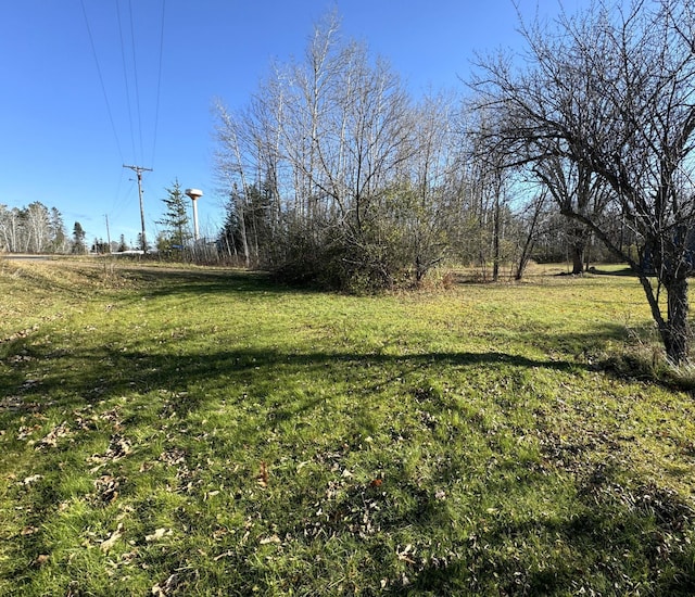 TBD302XX 480th St, Palisade, MN 56469 - photo 8