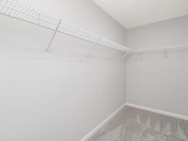 walk in closet with carpet floors