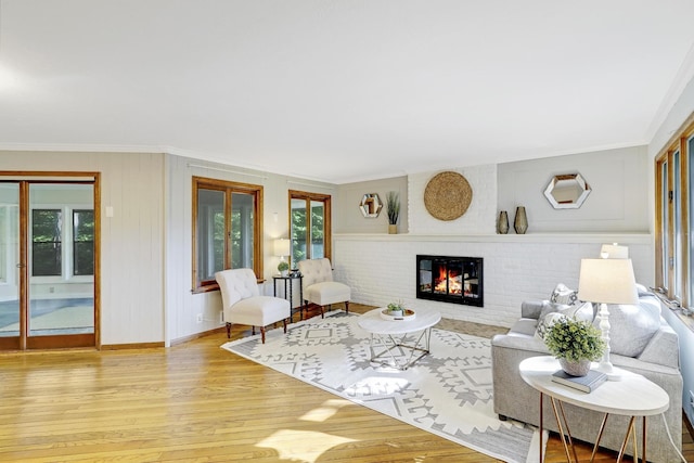 living room featuring hardwood / wood-style flooring, crown molding, and a fireplace