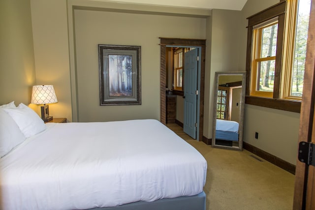 bedroom with carpet floors