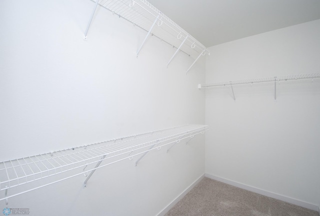 6652 32nd St S, Fargo, ND 58104 - spacious closet featuring light colored carpet