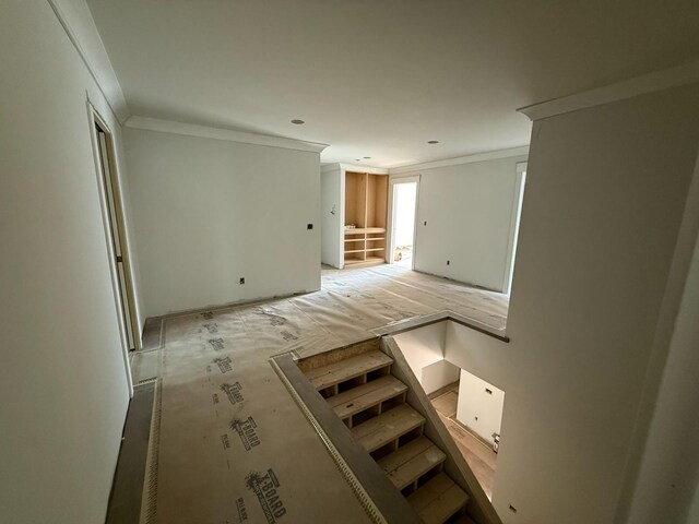 641 Park St E, Wayzata, MN 55391 - photo 24
