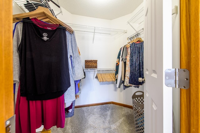 spacious closet featuring carpet flooring