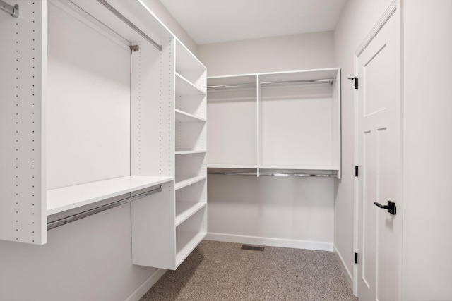 spacious closet featuring carpet