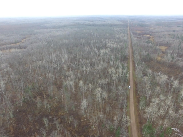 0 Fire Lane Rd, Danbury, WI 54830
