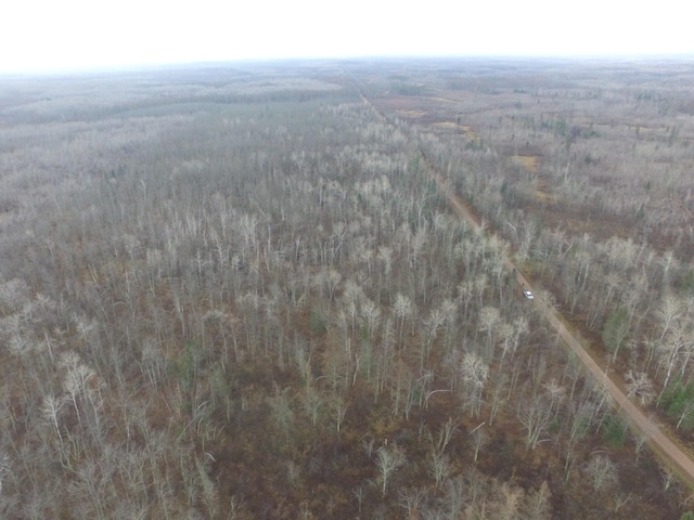 0 Fire Lane Rd, Danbury, WI 54830