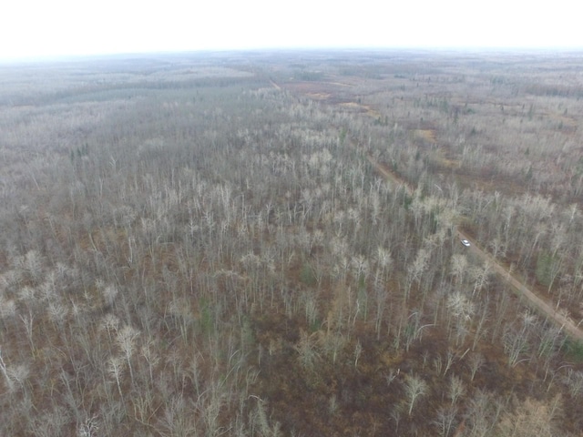 0 Fire Lane Rd, Danbury, WI 54830