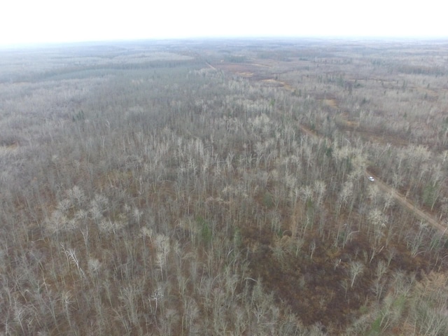 0 Fire Lane Rd, Danbury, WI 54830