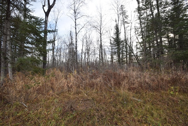 0 Fire Lane Rd, Danbury, WI 54830