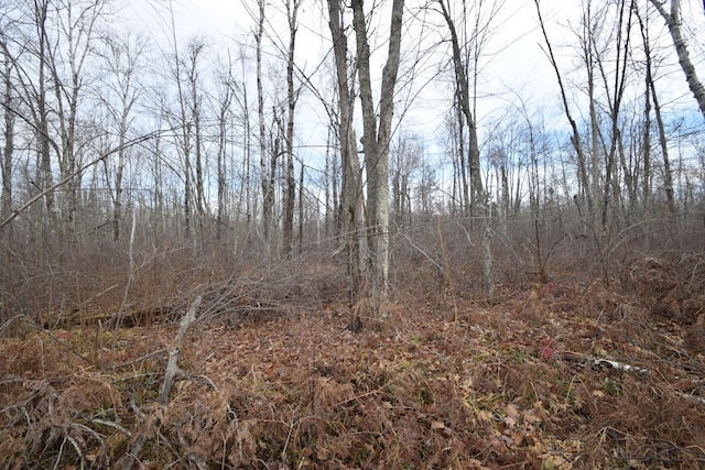 0 Fire Lane Rd, Danbury, WI 54830