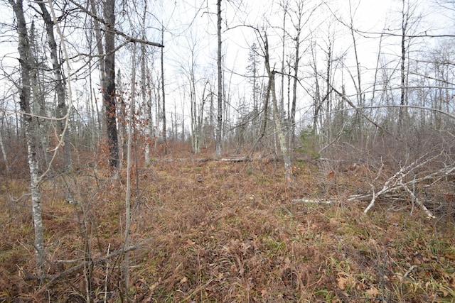 0 Fire Lane Rd, Danbury, WI 54830