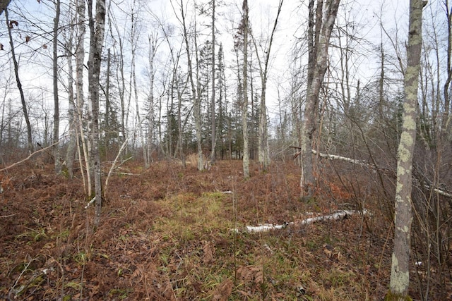 0 Fire Lane Rd, Danbury, WI 54830
