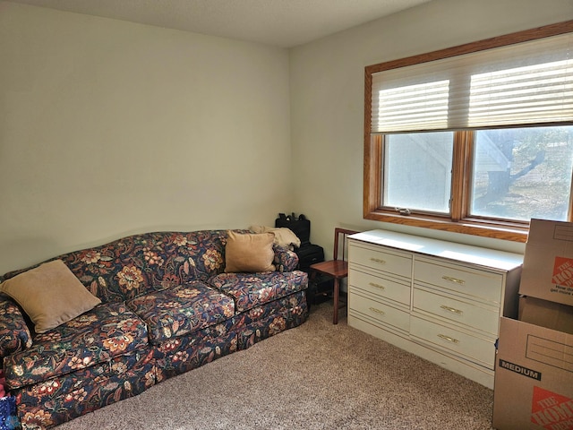 living area with light carpet