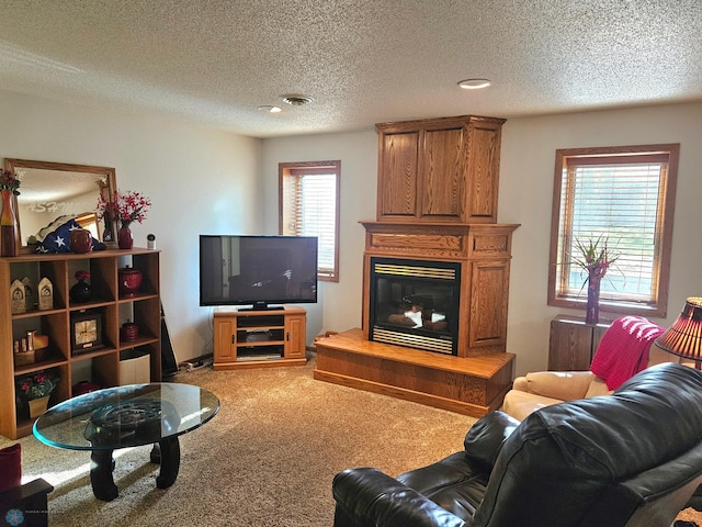 living room featuring a textured ceiling and carpet