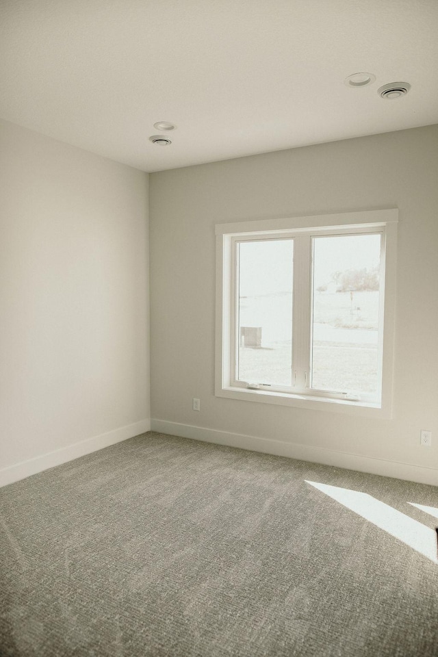 spare room with carpet flooring and a wealth of natural light