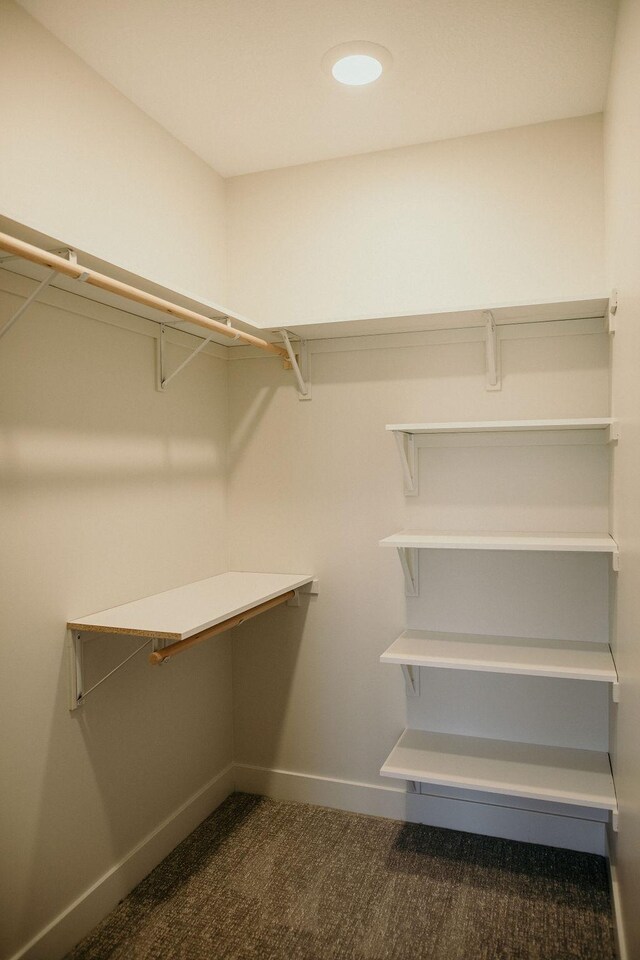 spacious closet with dark carpet