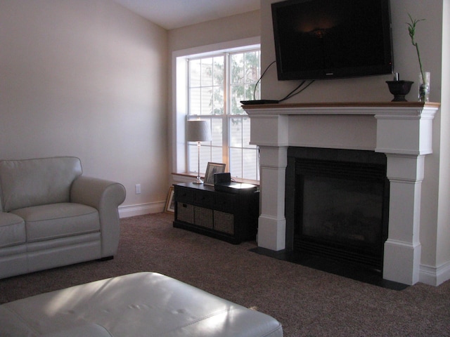 living room featuring dark colored carpet