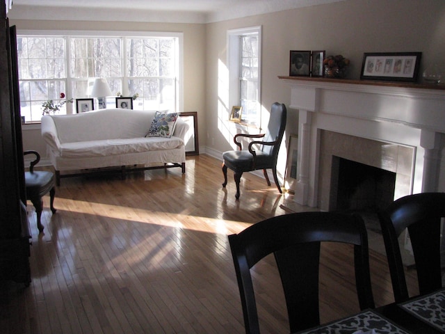 living room featuring hardwood / wood-style floors