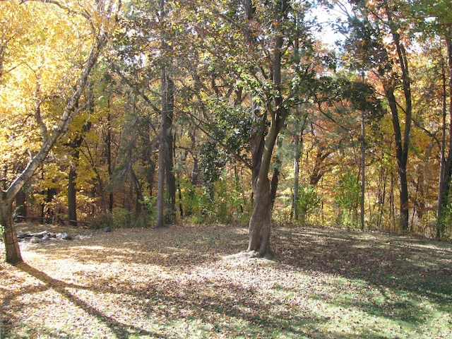 view of landscape