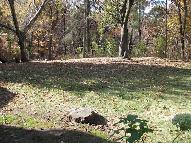 view of local wilderness