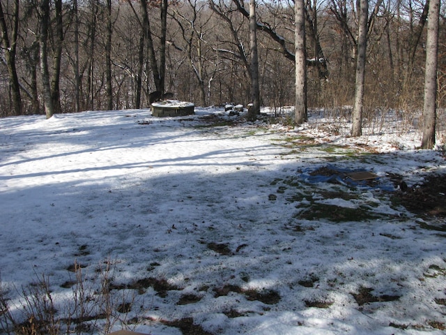 view of yard covered in snow