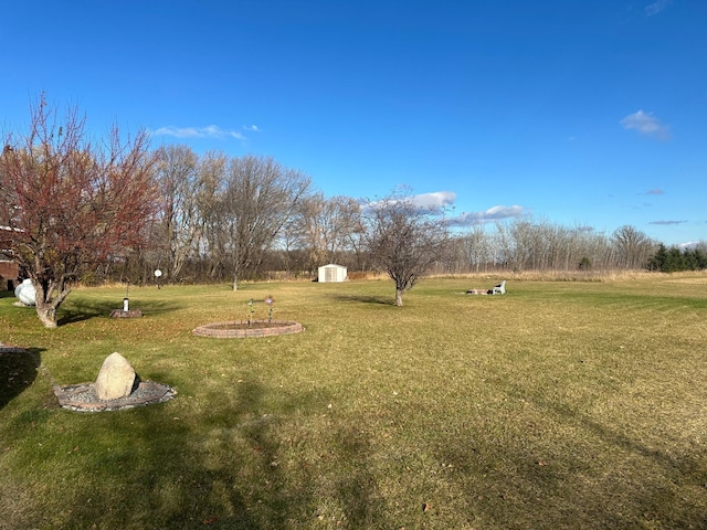 view of yard featuring a storage unit