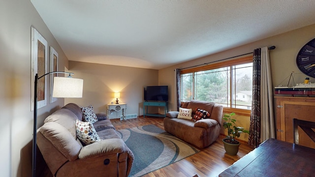 living room featuring hardwood / wood-style flooring